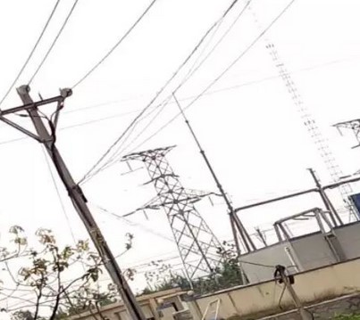 看看這些電力人的春季巡檢！