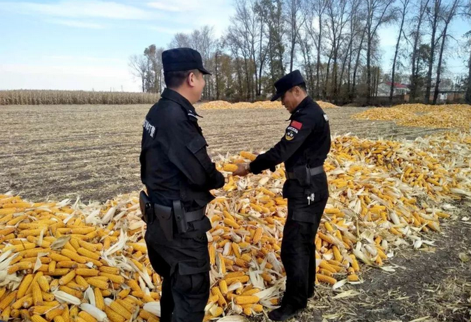 禁燒秸稈走田間、共鑄警魂保藍天