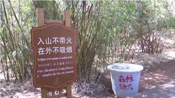 贊！雞足山景區(qū)連續(xù)35年無森林火災(zāi)，因?yàn)樗麄?..