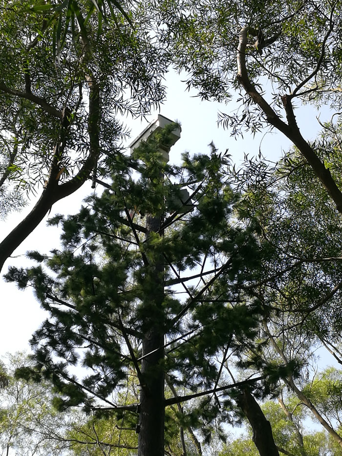?森林火災(zāi)風(fēng)險普查工作任重而道遠，華瑞通發(fā)揮行業(yè)優(yōu)勢